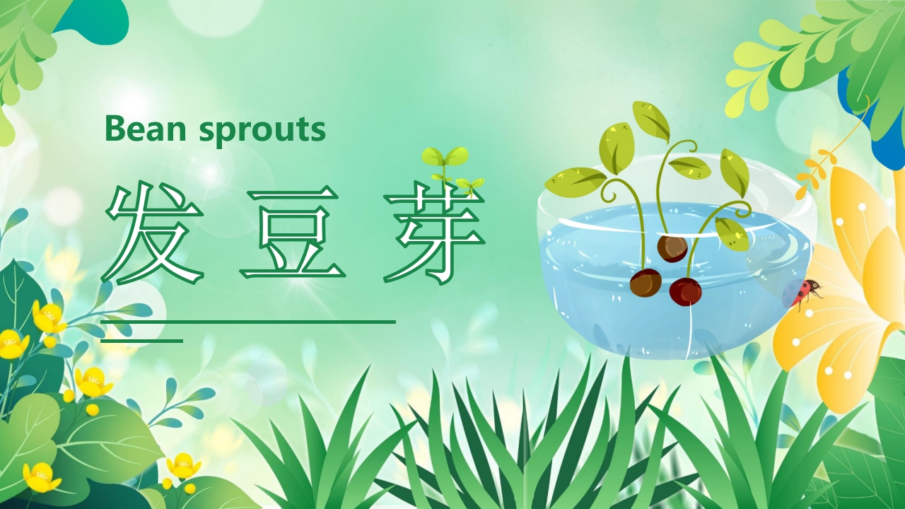 发豆芽PPT课件(内嵌视频).pptx