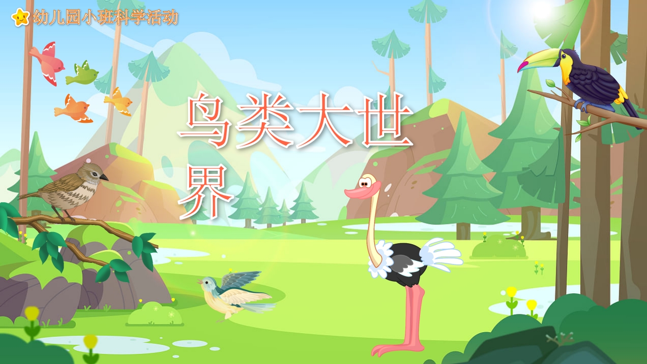 《鸟类动物》幼儿园科学教育PPT课件.pptx