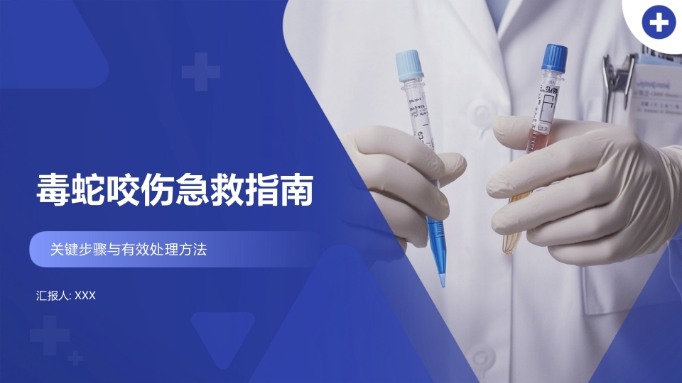 毒蛇咬伤急救指南PPT课件.pptx
