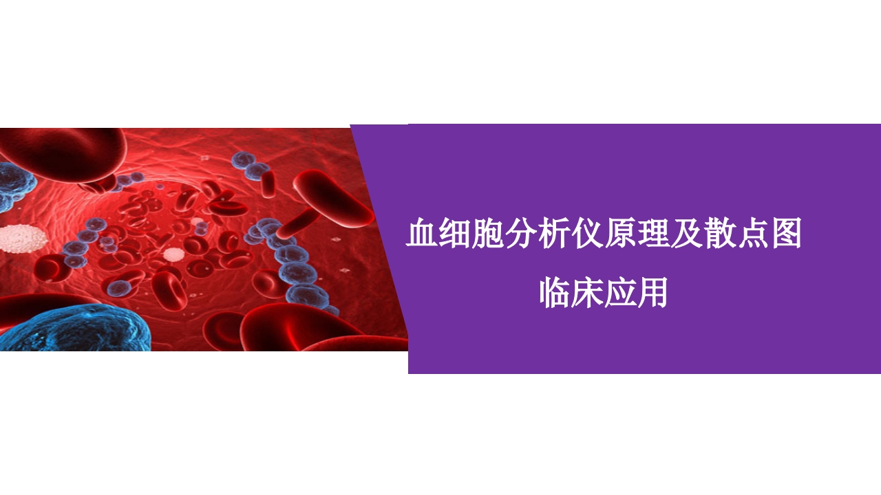 血细胞分析仪原理及散点图临床应用PPT课件.pptx