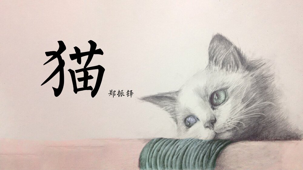 初中语文《猫》七年级郑振铎教学PPT课件.pptx