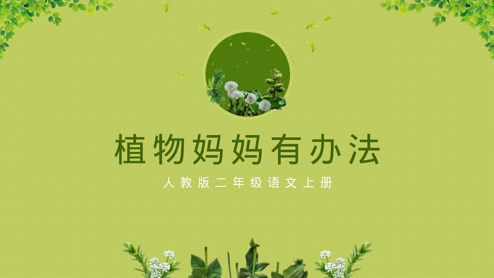 人教版二年级语文上册植物妈妈有办法教学课件PPT.pptx