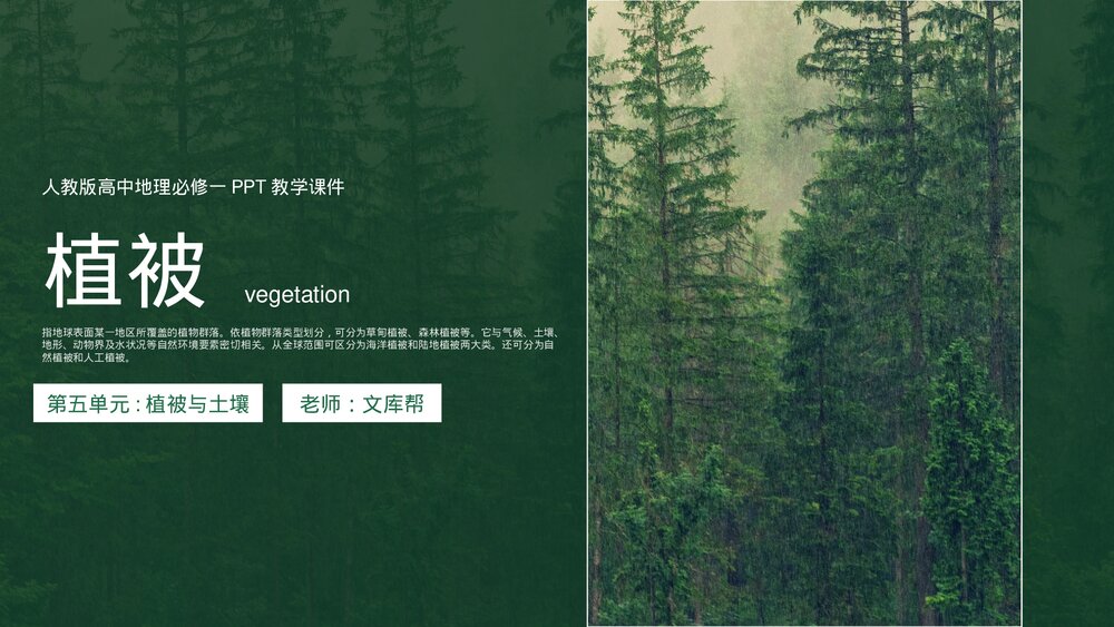 人教版《植被》高中地理必修一PPT教学课件.pptx