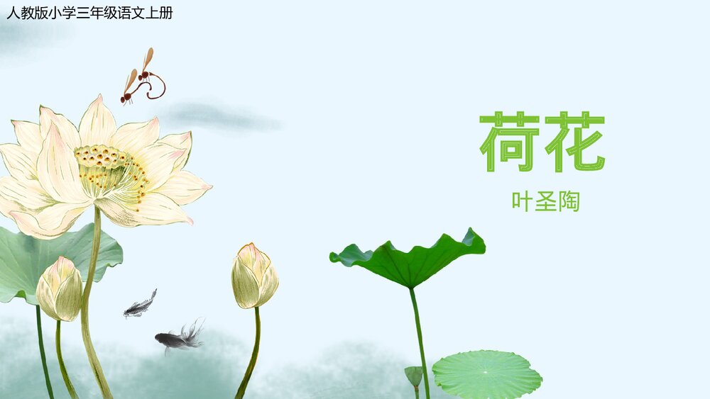 人教版《荷花》小学三年级语文教学PPT课件.pptx