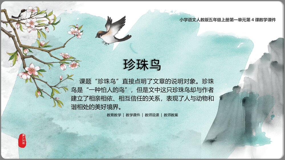 人教《珍珠鸟》小学语文五年级上第4课教学PPT课件.pptx