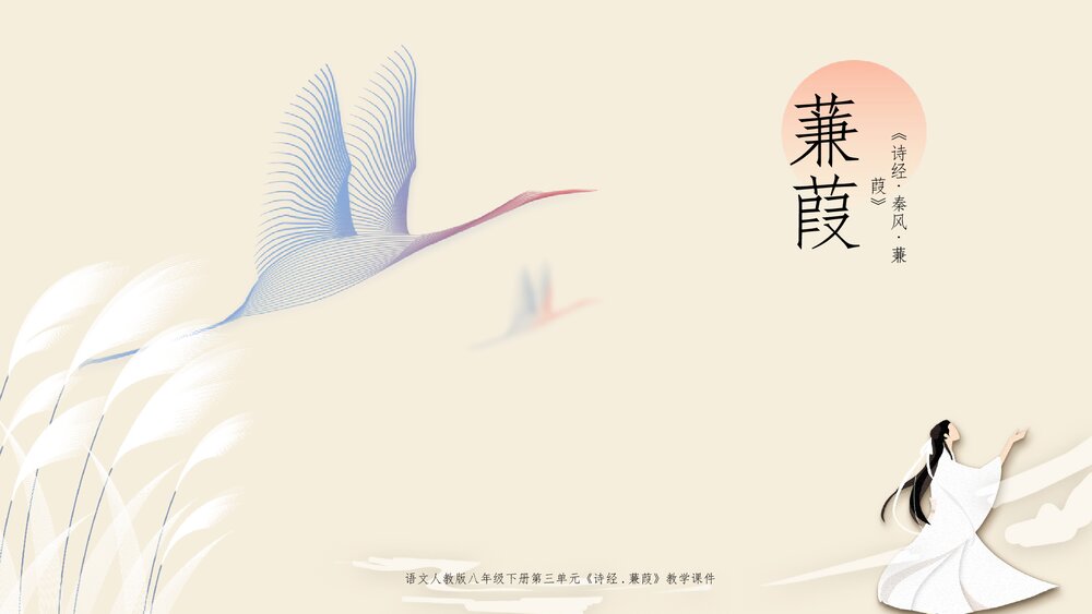 人教版《诗经蒹葭》语文八年级下册教学PPT课件.pptx