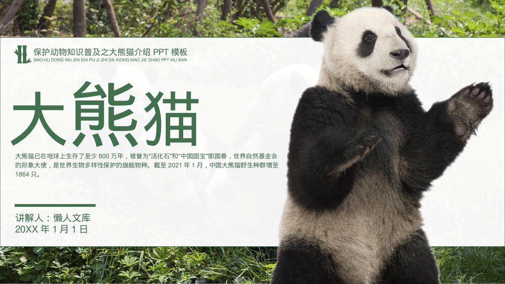 大熊猫保护动物知识普及PPT.pptx